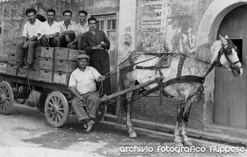 1951-raccolta-di-pomodori-col-carretto